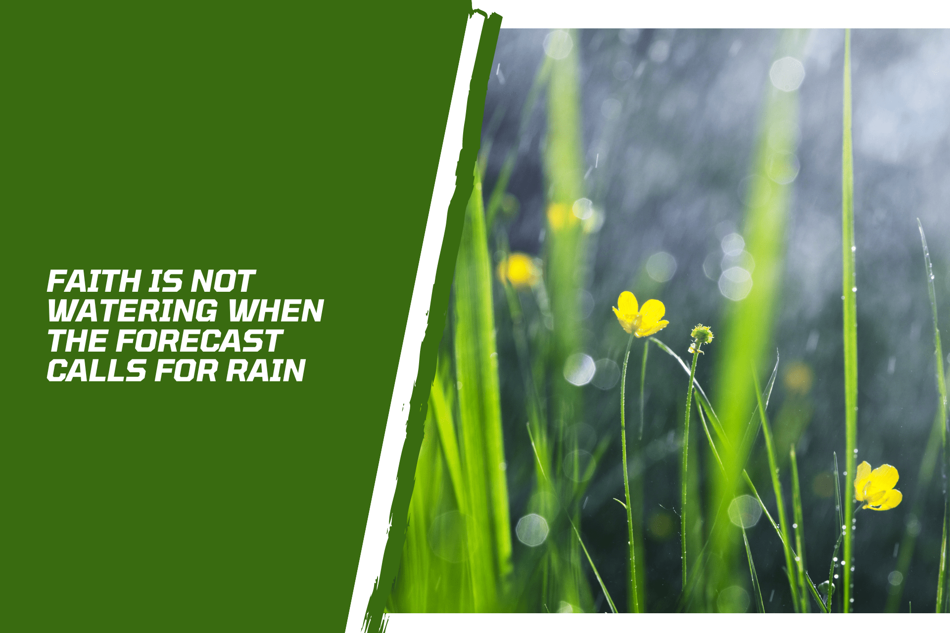 Faith Is Not Watering When The Forecast Calls For Rain